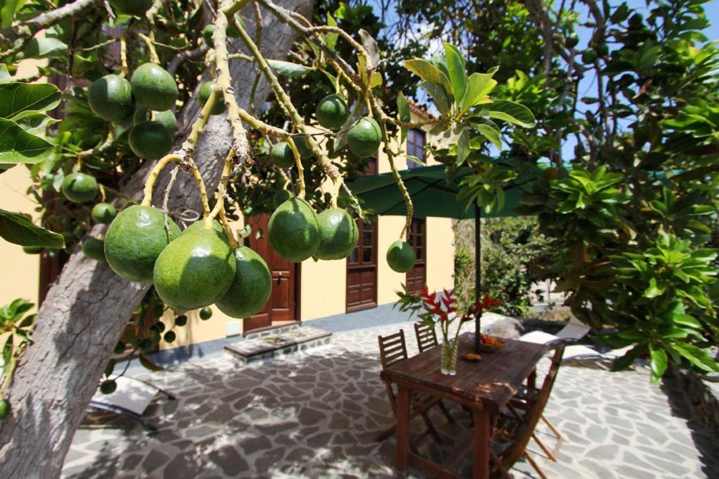 Casa Rural Los Aromos - Wunderschones Landhaus Mit Meerblick แอร์มิกวา ภายนอก รูปภาพ